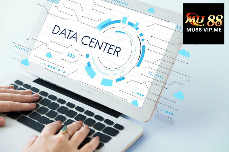 Thông tin người chơi cung cấp