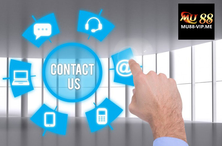 Các kênh liên hệ chính