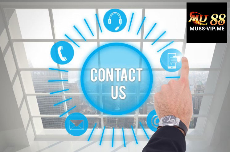 Hướng dẫn liên hệ hiệu quả